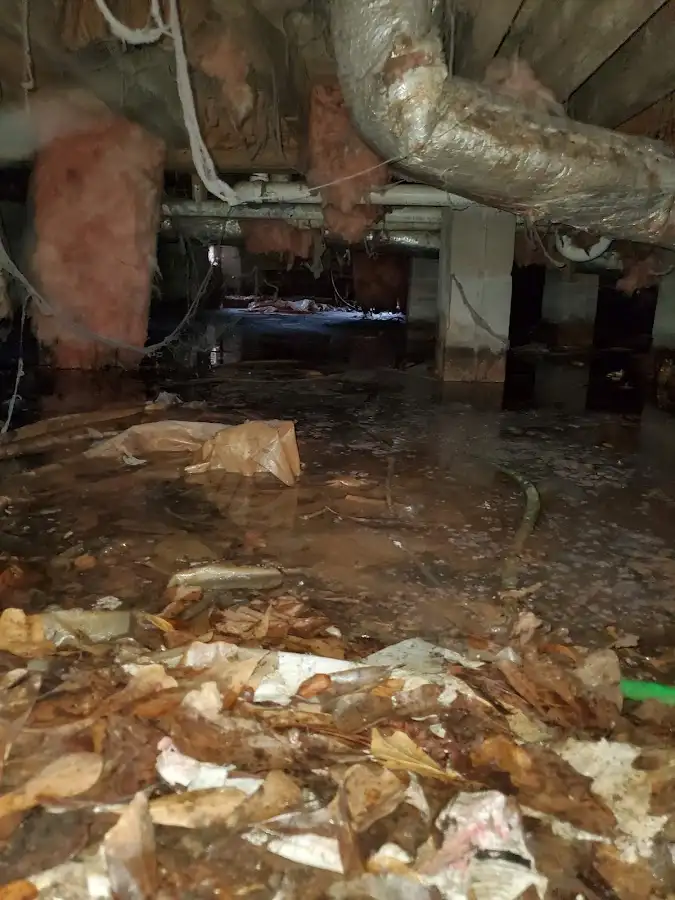 Crawl space flood assessment for Leak Detection & Repair in Gaffney